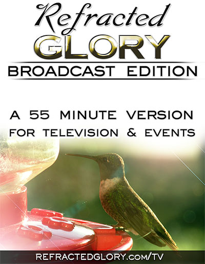 RGBE_InfoPoster_514h